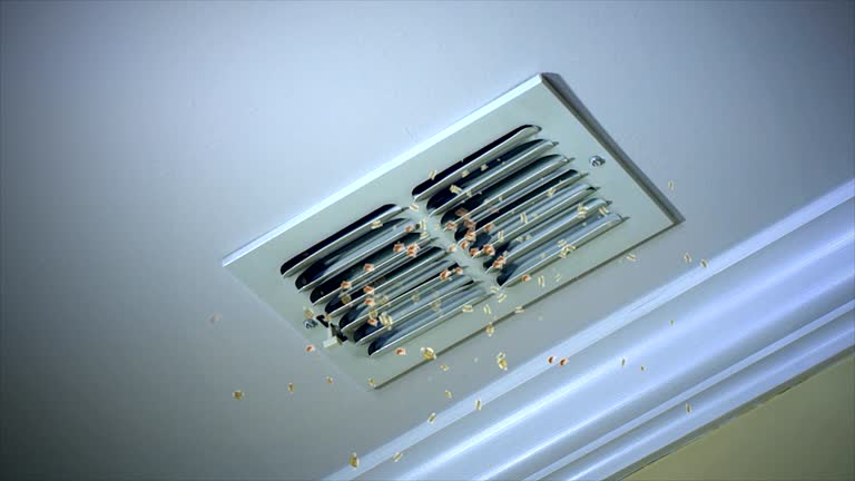 Best Affordable Air Duct Cleaning  in Atlanta, IL